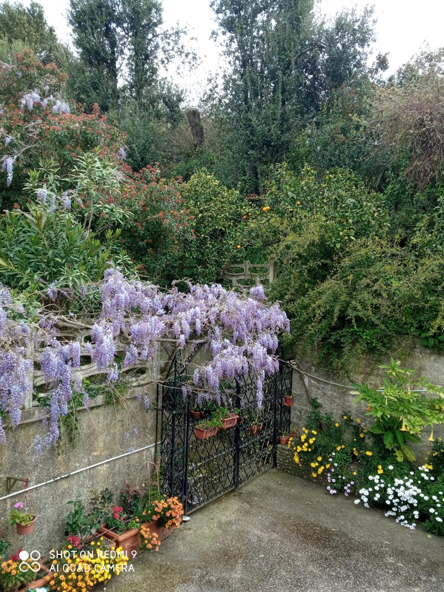 Belvedere Di Caiazzo Dış mekan fotoğraf