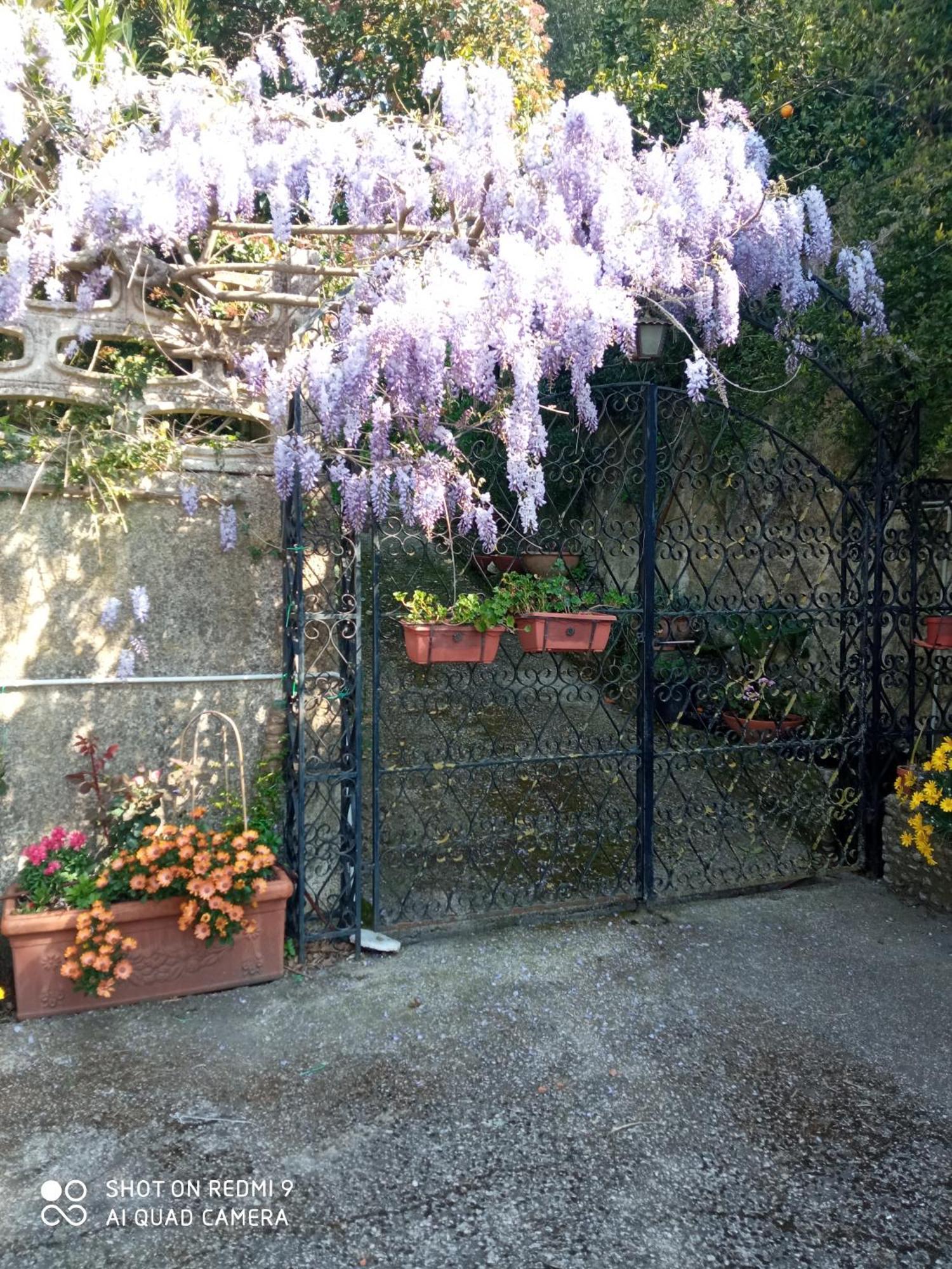 Belvedere Di Caiazzo Dış mekan fotoğraf