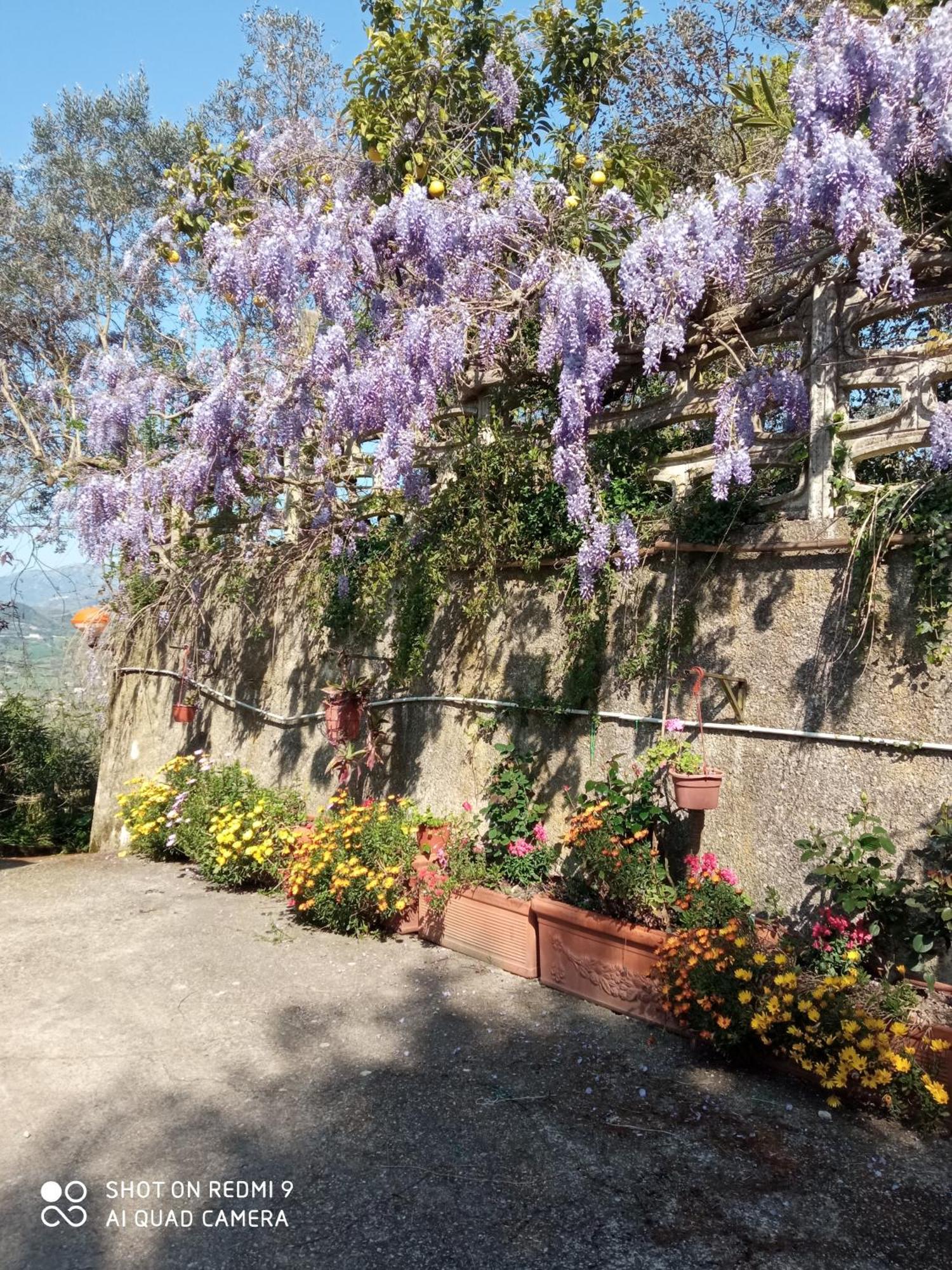 Belvedere Di Caiazzo Dış mekan fotoğraf