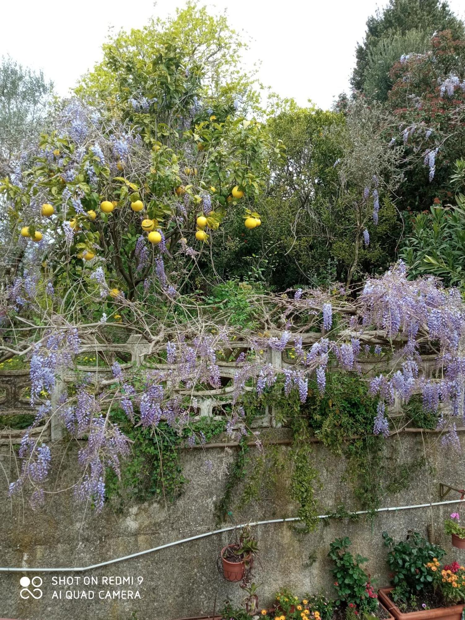 Belvedere Di Caiazzo Dış mekan fotoğraf